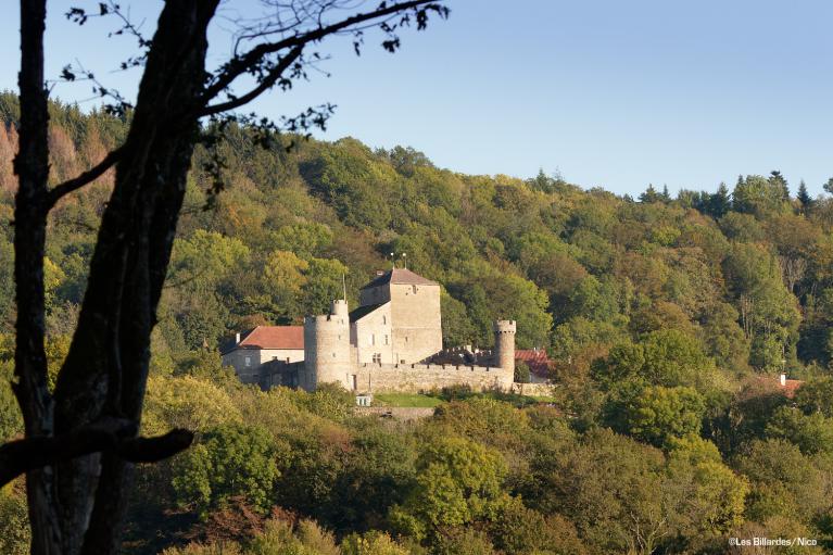 Château de Rosay Château de Rosay