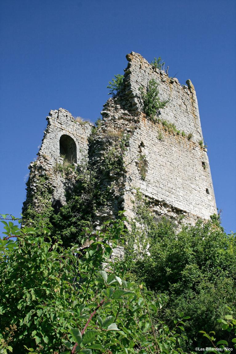 Ruine de la tour de Dramelay Ruine de la tour de Dramelay