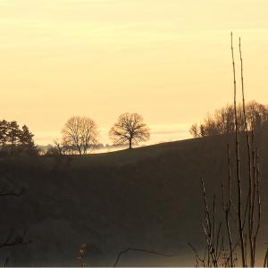 Paysage soleil couchant